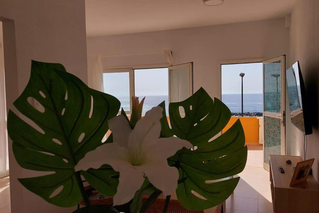 La Marea Baja Lejlighed Puertito de Guimar Eksteriør billede